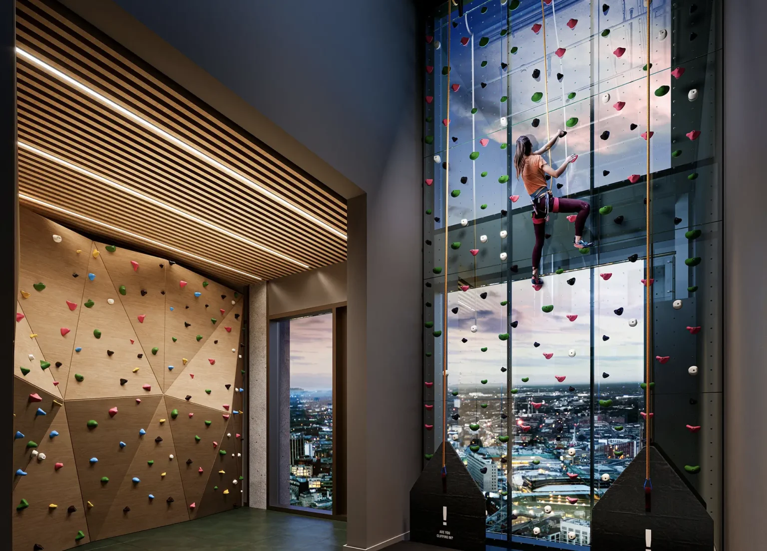 Edition Climbing Wall